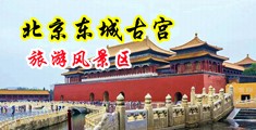 啊…操屄视频中国北京-东城古宫旅游风景区